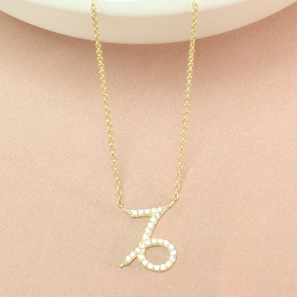14k Gold Vermeil Capricorn Zodiac CZ Necklace - Picture 3 of 6
